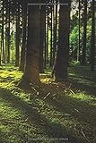  Notizbuch Wald: Paperblank Tagebuch / Notizbuch ohne Zeilen a5 mit Wald Motiv  Geschenk für Naturliebhaber