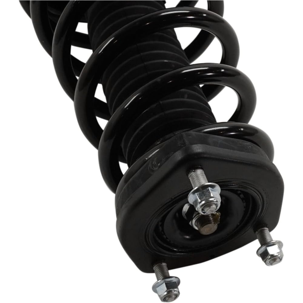 Amazon.com: PinkMoMo 2 Pieces Rear Driver And Passenger Side Shock 