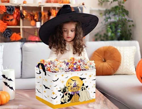 Image of Large Halloween Themed Candy Gift Boo Basket for Kids Baby Personalized Adults Storage Bin Fall Decor(Cat Bat)
