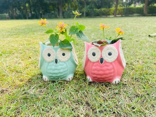 Lyallpur Stores Ceramic Pots for Plants Owl Shape - Small Size (Pink & Green Color, 9 cm) Ceramic Planters for Indoor Plants, Living Room. [Plant Not Included, Pack of 2] (B09MM9D7PM) Amazon Price History, Amazon Price Tracker