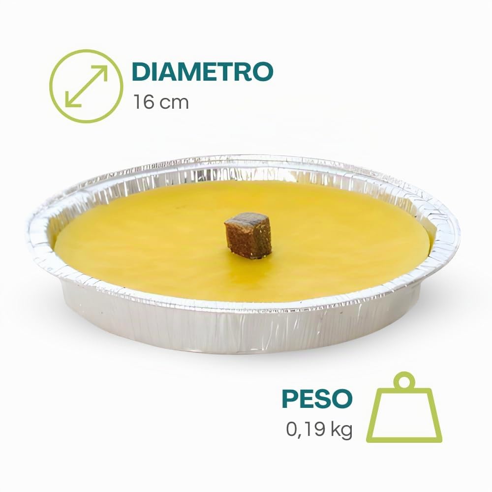 Palucart Candele citronella Giardino citronella Alluminio 16 cm Set da 30 Pezzi Giardinaggio antizanzare Feste ed Eventi - C