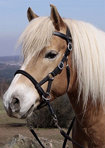 Barefoot Syringa Kopfstück Full Schwarz – 2-in-1 Sidepull & Bitless Bridle mit Überkreuz-Signalgebung – weich unterlegt, verstellbar, inkl. Zügel – ideal für gebissloses Reiten & Bodenarbeit