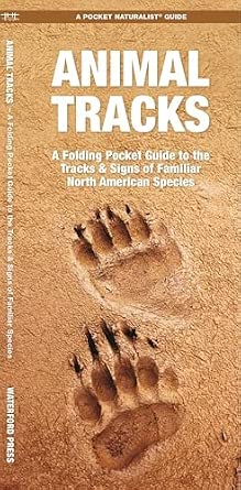Animal Tracks: A Folding Pocket Guide to the Tracks and Signs of Familiar North American Species