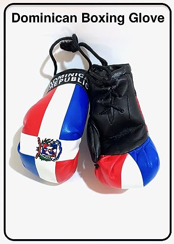 Guantes de boxeo de República Dominicana para llevar tu tierra en el coche 7