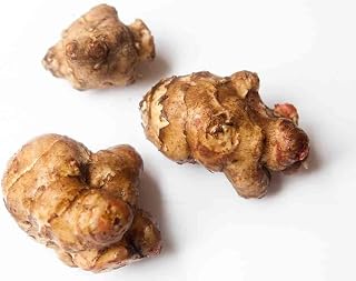 25 Tubers Jerusalem Artichokes (also known as Sunchoke, Sunroot) for Planting or Eating