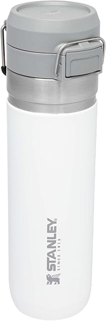 Stanley Quick Flip Stainless Steel Water Bottle .71L / 24OZ Polar  Leakproof Insulated Water Bottle - Push Button Locking Lid - BPA-Free Thermos Flask - Cup Holder Compatible - Dishwasher Safe