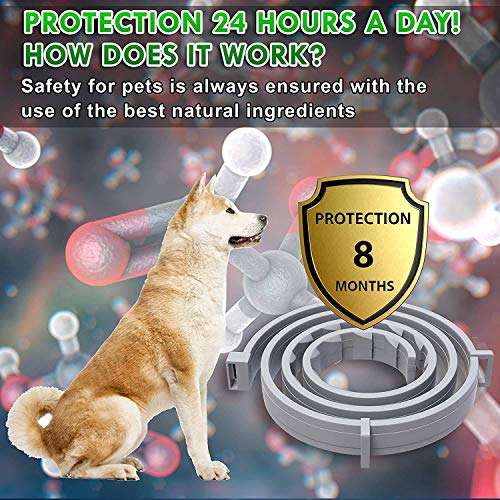 LORDDDON Dog Flea Collars with Reflectors Vet-Recommended Flea and Tick Prevention Collar for Dogs Above 18 lbs Large… - Image 4
