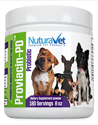 NuturaVet Proviacin-PD Probiotics for Dogs for Active Digestive System, Overall Wellness, Stronger Immune System- Yeast Infections– Powder Supplement: 180 Servings 8oz-GMP Approved-Made in USA