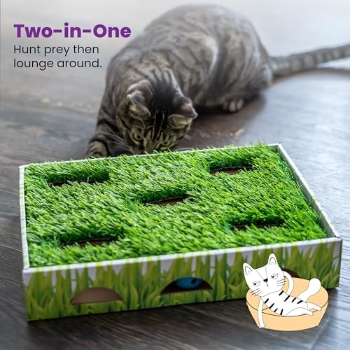 Catstages Grass Patch Hunting Box — bottom and base construction detail