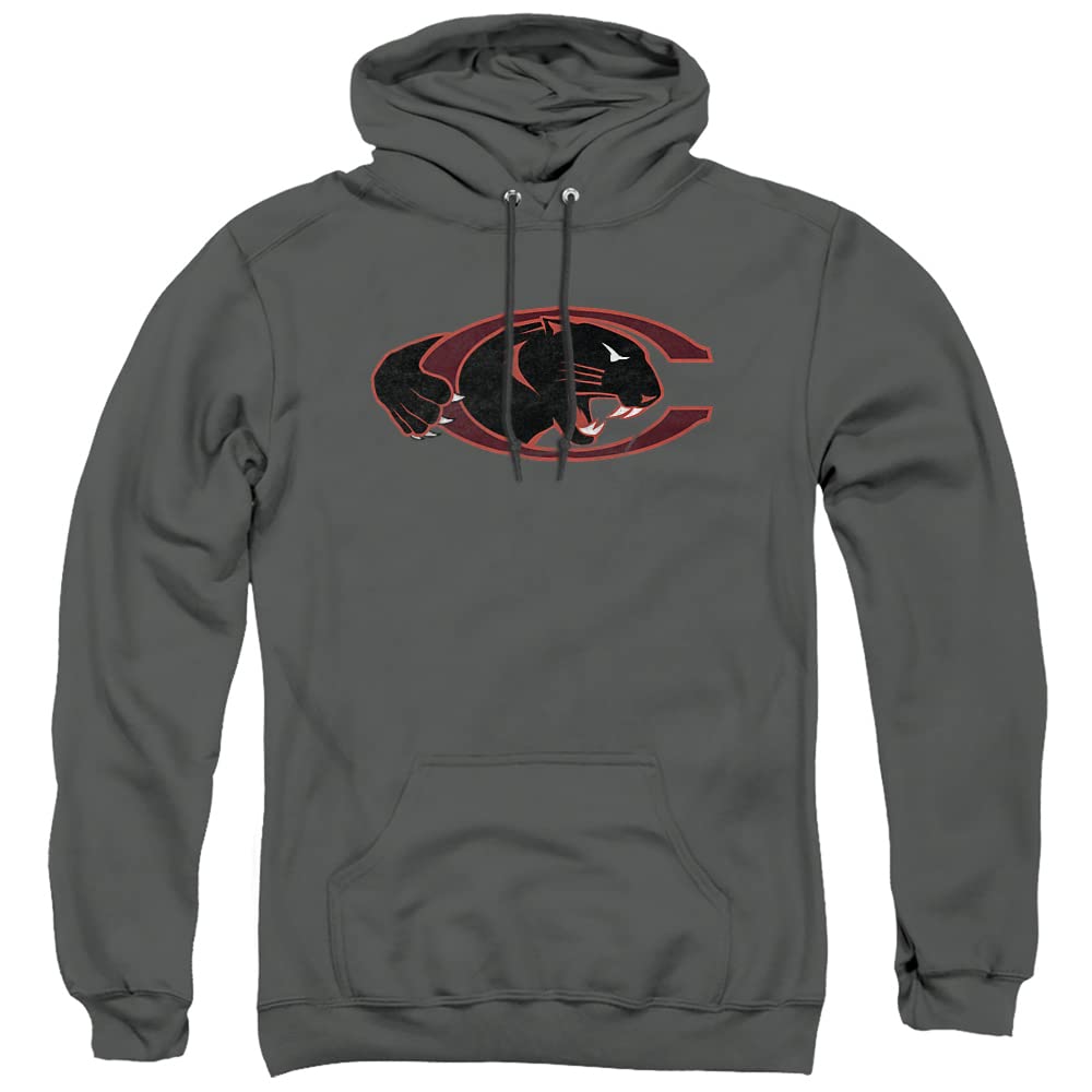 LOGOVISION Official Collegiate Distressed Primary Logo Adult Pullover Hoodie Collection — view 41