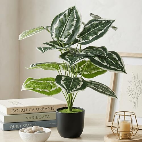 Image of Dekorly Plastic Artificial Palm Plants Leaves Faux Turtle Leaf Fake Monstera Tropical Large Palm Tree Leaves Outdoor Leaf Decorations | 26Inch Plants with Blackpot (Calathea)