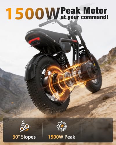 Hopepeak D10 Fat Tire E-Bike