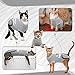 Bonaweite Cat Recovery Suit, Cat Onesie for Cats After Surgery, Cat Surgical Recovery Suit Male Female Neuter, Cat Pajamas Body Suit Post Surgery, Kitten Spay E-Collar Cone Alternative Anxiety Vest