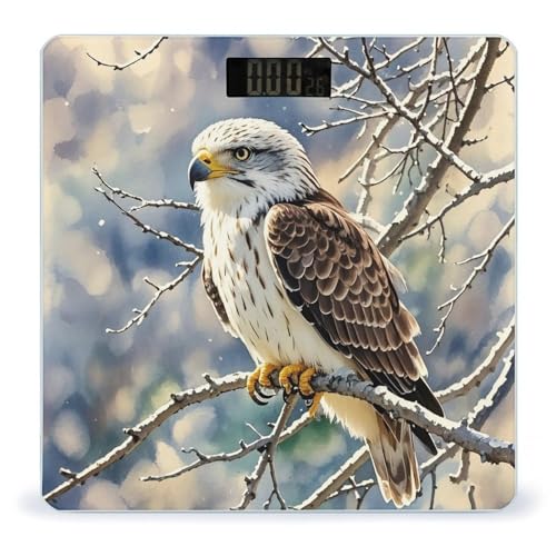 Báscula Digital de Vidrio Templado Hawk para Baño miniatura 1