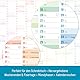 Häfft® 5er-Pack Wandkalender Schuljahr 2025/2026 A4 quer Tafelkalender mit Feiertagen, 250g/m²-Karton, Schuljahreskalender Rainbow - nachhaltig & klimafreundlich