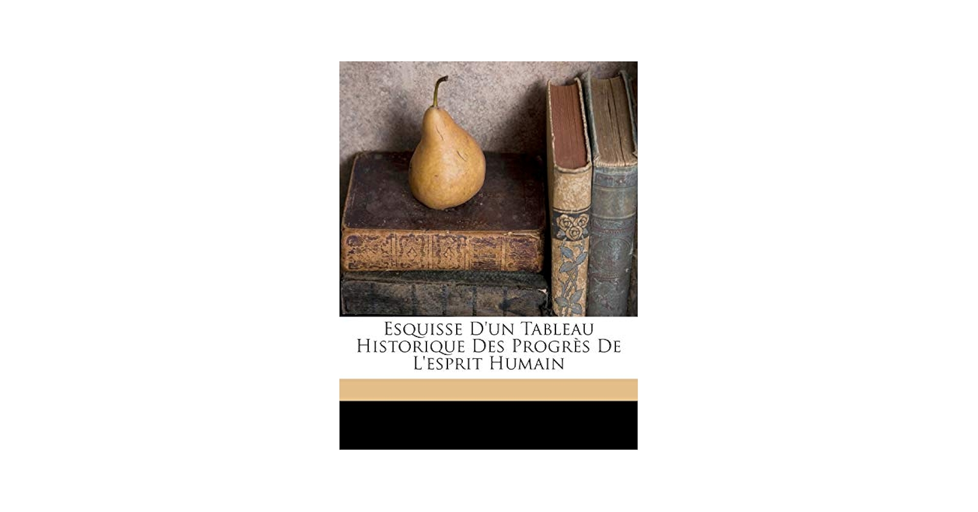 洋書 Pour l'honneur de l'esprit humain 洋書 Pour l'honneur