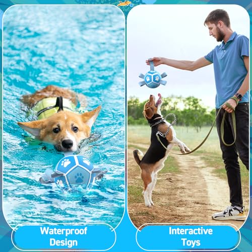 Image of QDAN Small Dog Balls, 5 Inch Dog Soccer Ball with Straps, Outdoor Dog Toys, Pet Training Soccer for Small Medium (5 Inch)
