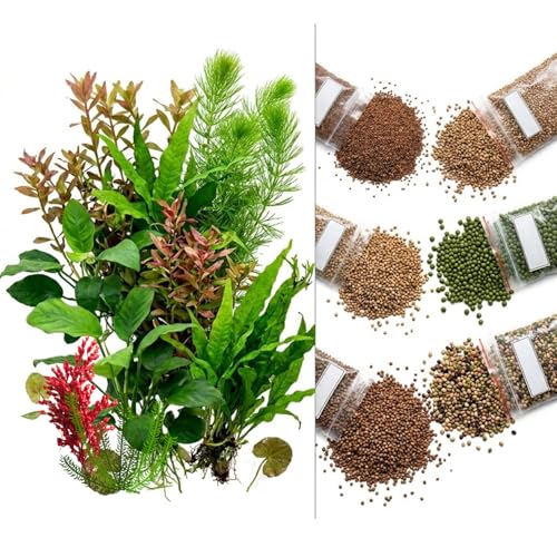200 Mix Aquarium Grass Seeds for Planting Aquarium Seeds Aquatic Grass Garden