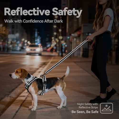 Image of PHOEPET No Pull Dog Harness with Handle Front & Back Clip, Easy on Lockable Snap Buckle at Neck, Adjustable Reflective Vest with Handle for Small Medium Large Dogs (S, Misty Green)