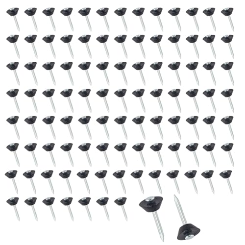 Dstarymnix Clous Fondation pour Membrane, 100 pièces Clous Protection Soubassement, Fixation Robuste pour Film Géotextile et Membrane de Fondation, 3x30 mm, Compatibles membrane drainante, géotextile