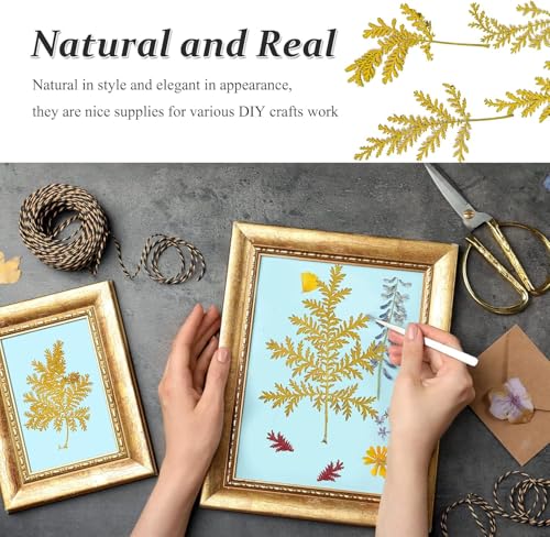 Hojas secas prensadas amarillas para manualidades, 42 piezas miniatura 2