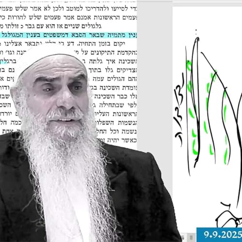『זוהר הקדוש אדרא רבא - תקונא תניינא \\ שער הגלגולים 43 - סוד המשיח ותחיית המתים』のカバーアート