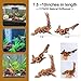 FUNOJOY Natural Driftwood Decor for Aquarium Decorations Reptile Tank Accessories, Assorted Wood Branches Decorations on Reptile Fish Tank 2-10
