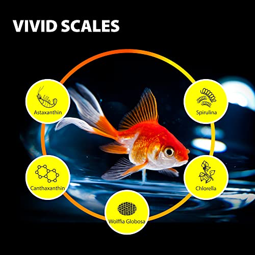 Good Partner Purify Series For Goldfish Food, Sinking Gold Fish Pellets, All Natural Ingredients, Balanced Composition Of Fish Food, Good For Fins Grow And Color Saturation, 7.05Oz #TOP2