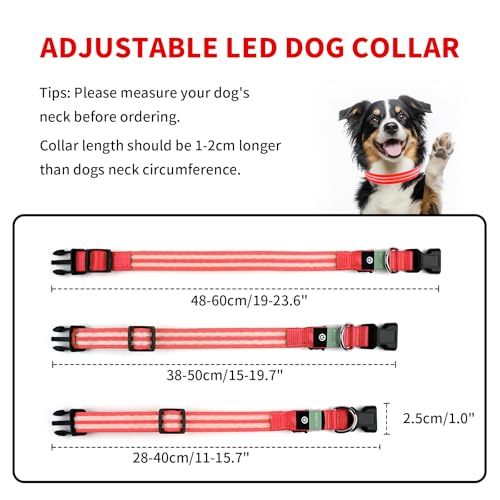 PcEoTllar Leuchthalsband Hund USB Aufladbar - LED Halsband für Hunde Hundehalsband Wasserdicht Leuchtend Einstellbare Größe, 3 Modi, Leuchthalsband für Nachtsicherheit Kleine und mittlere Große Hunde