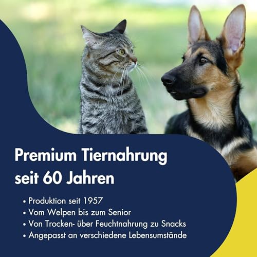 DR.CLAUDER'S - B.A.R.F. Komplett Menue Hühnerfrikassee | Fleischeintopf mit 100% Muskelfleisch, Innereien und Gemüse für ausgewachsene Hunde. Alleinfutter in der Dose | 800g Huhn