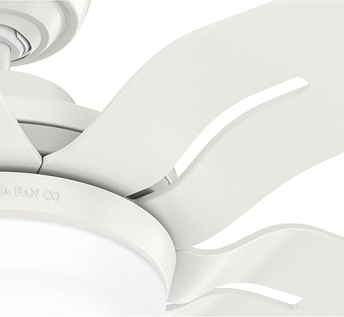 Miniatura 8 de Casablanca Ventilador de techo Correne blanco fresco de 56 pulgadas con kit de luz LED y control remoto de mano Blanco (Fresh White),Acabado cepillo