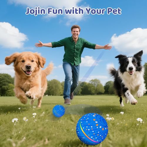 Hundespielzeug Intelligenz, Hundeball Interaktives Hundespielzeug, Intelligentes Wicked Ball Dog Ball mit 3 Spielmodi, RGB LED Lichtern, Interaktiver Spielball für Hunde Kleine, Mittlere, Große