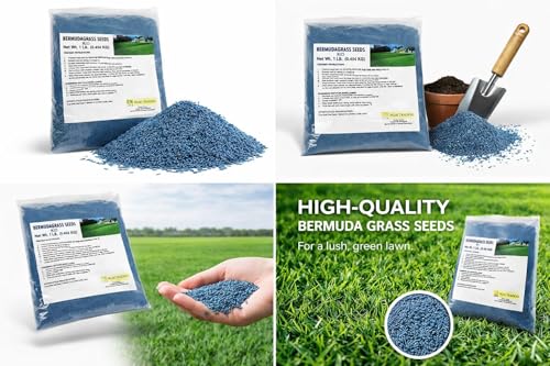 Image of Peak Traders Selection 1 Doob Grass Seeds, 1 LB (0.454 KG), Blue Coated with Excellent Turf Quality