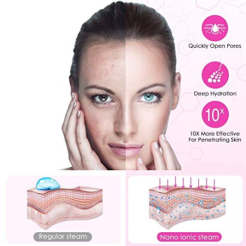 Facial Steamer SPA Sauna Face Humidifier Wolady Home Sauna Steamer Nano