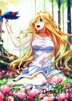 アサシンズプライド 布ポスター ソフマップ Amazon.co.jp: 布ポスター