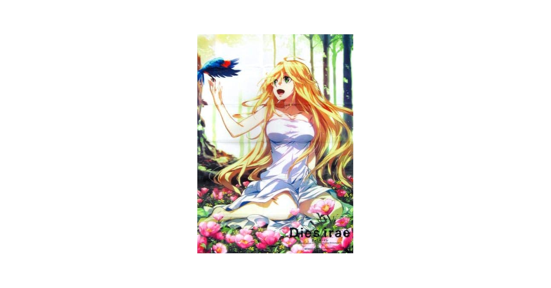 アサシンズプライド　布ポスター　ソフマップ 51kTjMyVsgL._UF350,350_QL50_.jpg