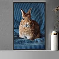 Framed Canvas Wall Art Bunny Animals Bedroom Expressive Multicolor Photography Rabbit Rustic - 16x24 inches