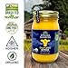 Spring Sunrise Grass Fed Organic Original, Cultured, and Brown Ghee Combo Pack - USDA Certified Clarified Butter - Keto & Paleo Friendly, Non-GMO, Gluten & Casein Free Cooking Oil