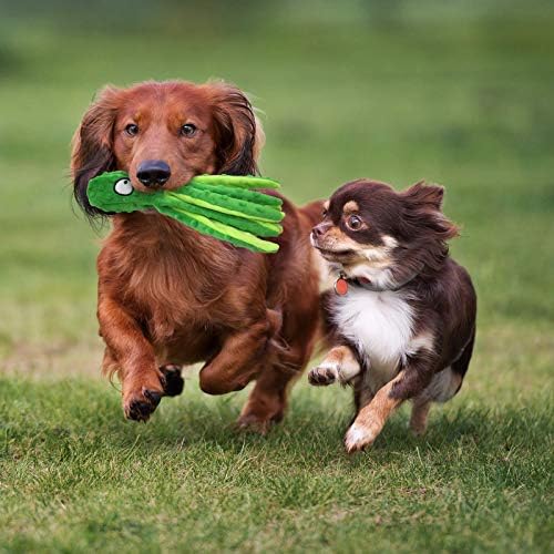SHOKAN 2pcs Plush Dog Toys, Dog Plush Toys Octopus, No Stuffing Squeaky Interactive Dog Toys, Indestructible Dog Chew Toy for Puppy Teething, Small Medium Large Dogs Training and Playing