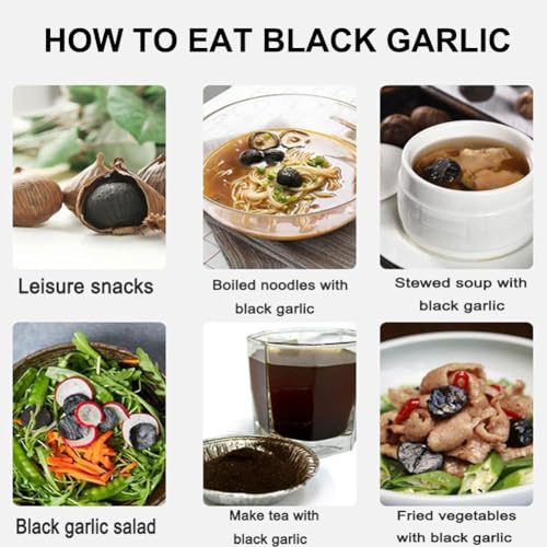 Boîte fermentation ail noir 6L cuiseur automatique maison - 7
