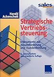 Strategische Vertriebssteuerung: Instrumente zur Absatzförderung und Kundenbindung