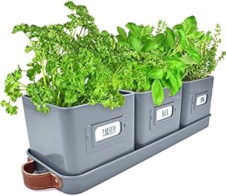Herb Pots for Kitchen Windowsill For Indoor Herb Planter, With Leather Handles - Ideal for Growing Indoor Plants, Herbs, Spices with Tray (Charcoal)