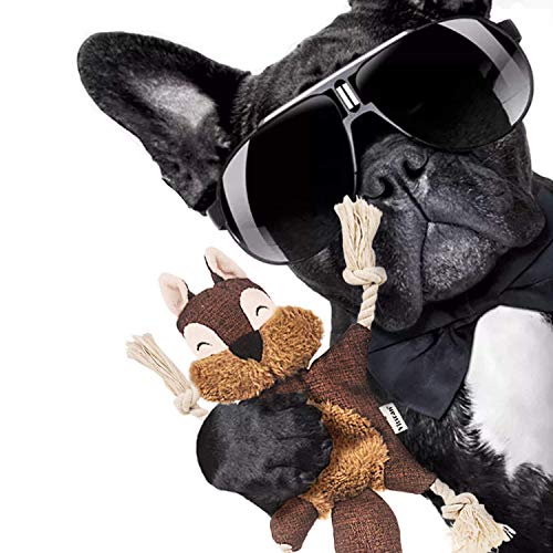 Jouets couineurs pour chien et peluche interactive résistante - 7