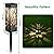 TomCare Solar Lights Outdoor Upgraded Bright Solar Pathway Lights Bigger Size Decorative Solar Waterproof Solar Powered Led Landscape Garden Lighting for Path Yard Walkway, 8 Pack
