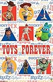 Trends International Disney Pixar Toy Story 4 - Grid Wall Poster, 22.375' x 34', Unframed Version