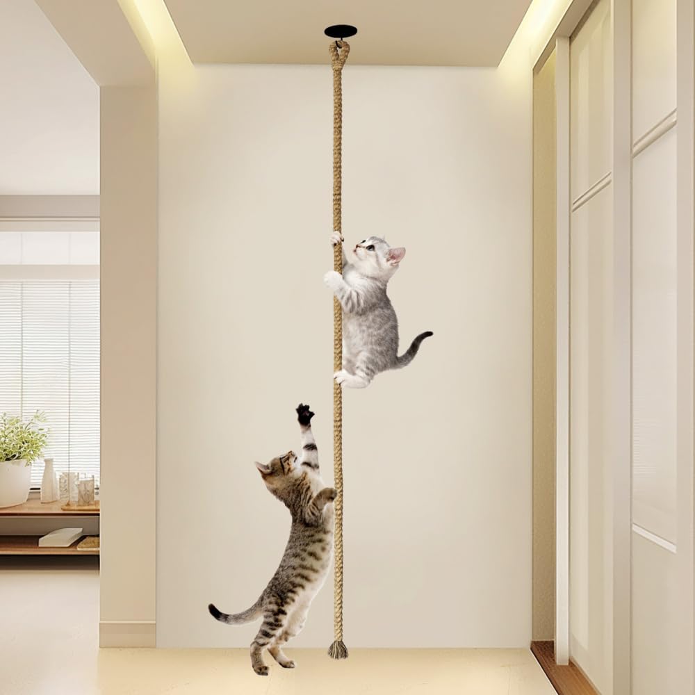 Corde à Grimper pour Chat, Jouet Grimpante pour Chaton, Poteau en Jute de 3 M (9,8 Pi) avec Crochet et 3 Vis de Fixation pour Plafond ou Mur