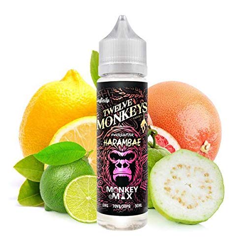 2 x 50ml HARAMBAE von Twelve Monkeys Premium E-Liquid ohne Nikotin – Bild 3