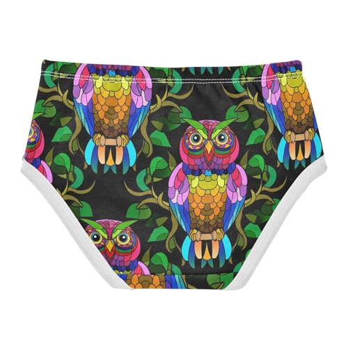 Cotton Toddlers Underwear Floral Vibrant Colorful Owls Black Cute Panties Girl Animal Undies Kids Briefs 2t2