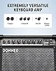 Best Keyboard Amplifiers : make your piano playing experience inspiring 12 Donner DKA-20 Keyboard Amplifier 20 Watt Keyboard AMP with Aux in and Two Channels, Bass Guitar Amp, Piano Amplifier, Electronic Drum Speaker Support for Microphone Input #2