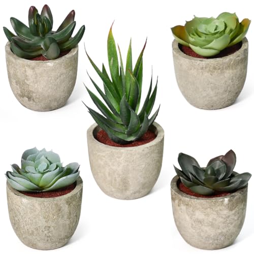 WEFHEF 5PCS Plantas Artificiales Pequeñas, Mini Plantas Artificiales Decorativas con 5 Diseños de Plantas Suculentas, Mini Suculentas Artificiales con Maceta Moderna, para Oficina, Hogar y Jardín